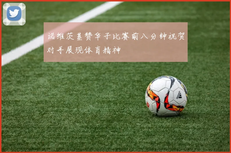 诺维茨基赞华子比赛前八分钟祝贺对手展现体育精神