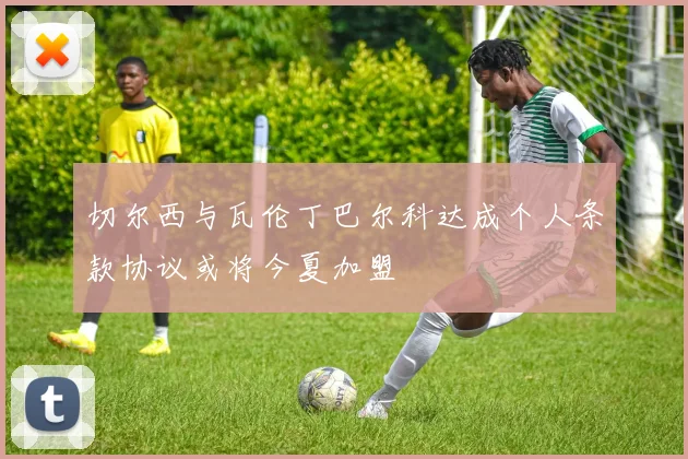 切尔西与瓦伦丁巴尔科达成个人条款协议或将今夏加盟
