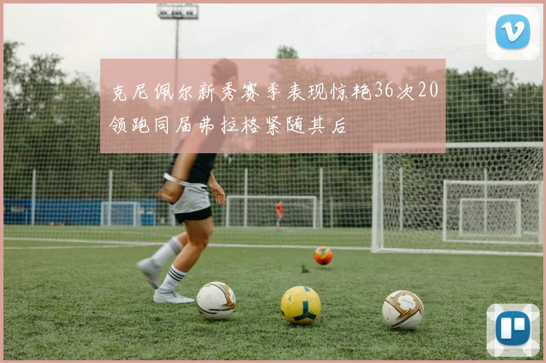 克尼佩尔新秀赛季表现惊艳36次20领跑同届弗拉格紧随其后