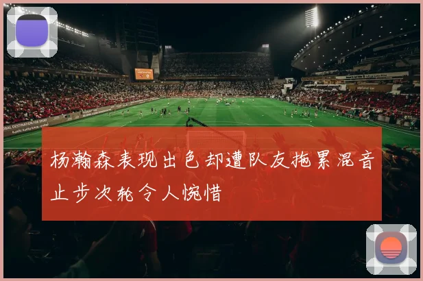 杨瀚森表现出色却遭队友拖累混音止步次轮令人惋惜